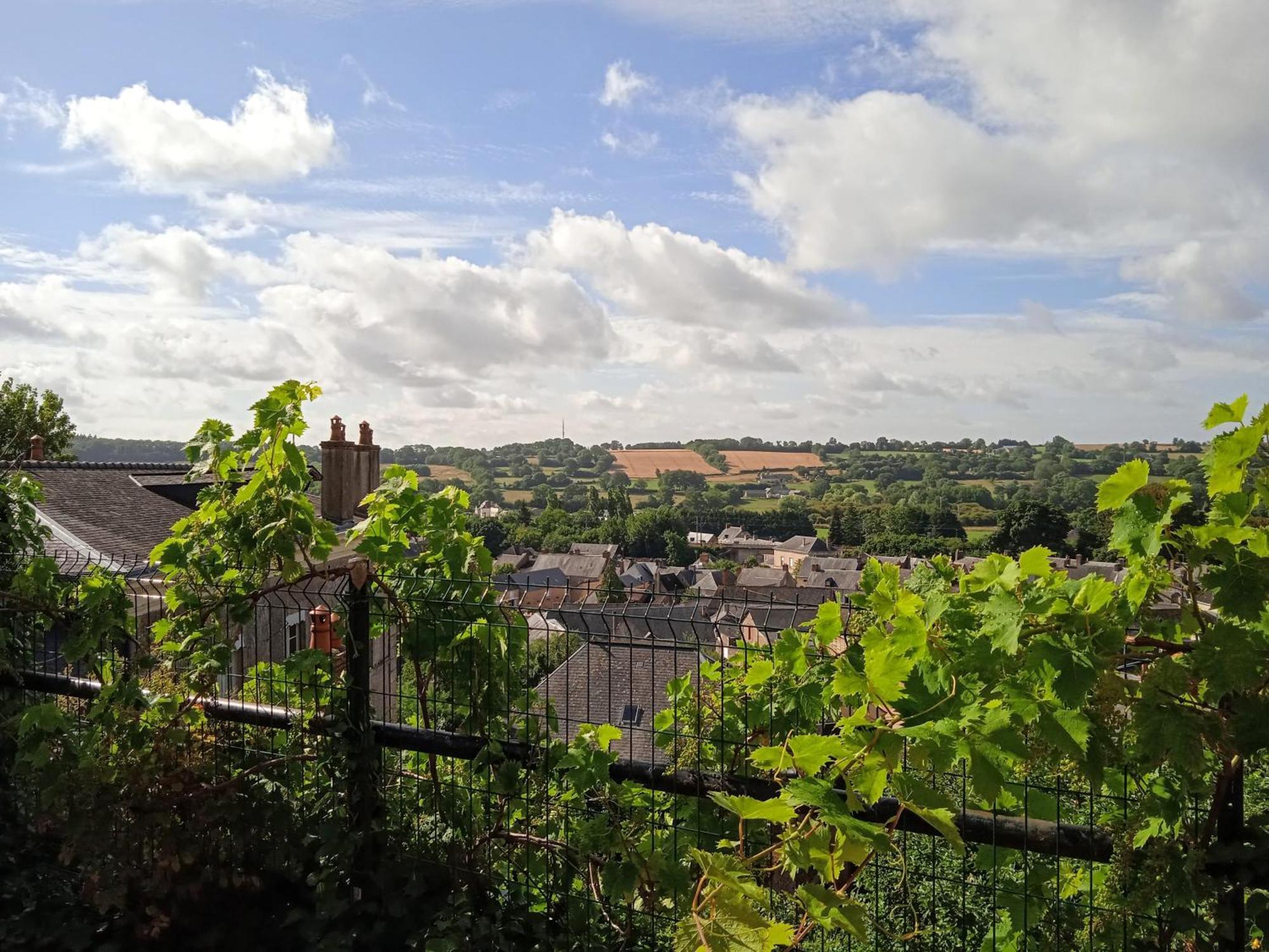 Charming Detached 2 Bedroom Ancient House In Medieval Quarter Of A Small Town In The Pays De La Loire, France Sille-le-Guillaume Luaran gambar